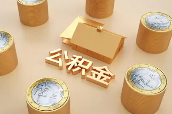 鄂州退休公积金代办提取额度是多少？